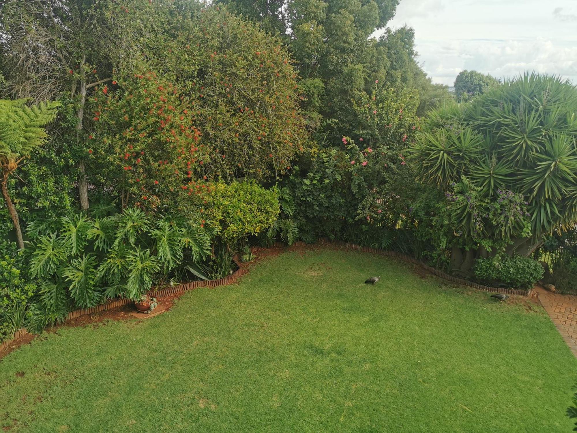 אידנווייל Villa Stella Guest House מראה חיצוני תמונה